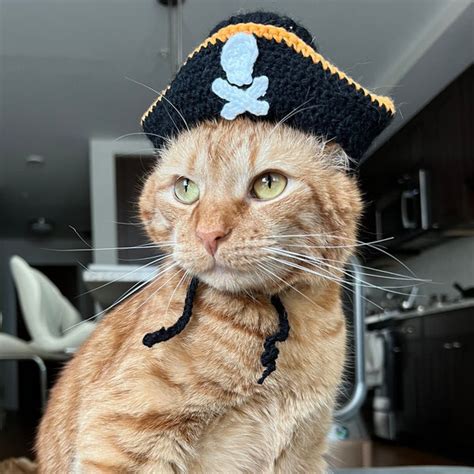 Cat Crochet Pirate Hat - Etsy