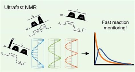 Ultrafast Nuclear Magnetic Resonance as a Tool to Detect Rapid Chemical ...