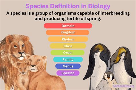 Simple Meaning Of Ecology