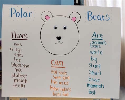 Polar Bear Facts For Kindergarten