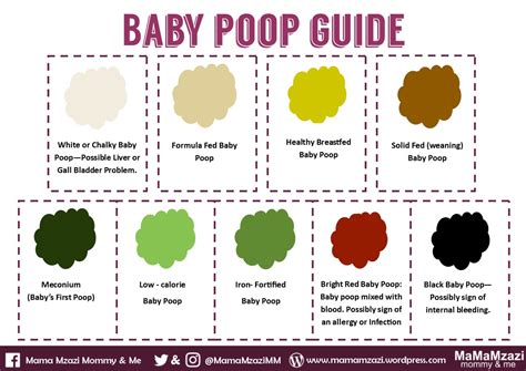 What Does The Color Of Toddler Poop Mean at Debra Dixon blog