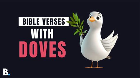 Bible Verses With Butterflies - Answering Bible Questions | The Bible Blog