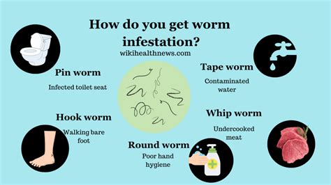 What Are Worm Symptoms at Joan Berg blog