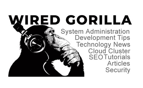 Secure Your Files with Encrypted Containers! - WIREDGORILLA