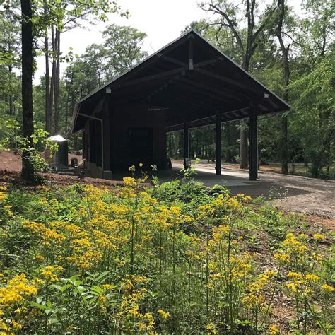 Turkey Creek Native Plant Sale on May 7th! — Ruffner Mountain