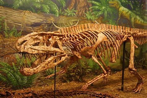 Postosuchus - Wikipedia