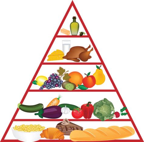 Food pyramid clipart | Clipart Panda - Free Clipart Images