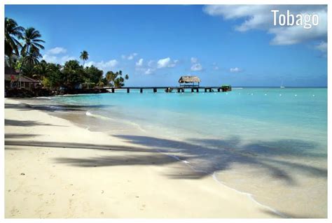 Yearly & Monthly weather - Tobago, Trinidad and Tobago