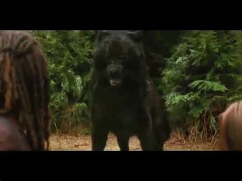 Twilight saga wolf fight scene - YouTube