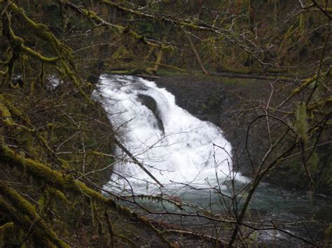 Silver Falls State Park Waterfalls Guide - World of Waterfalls