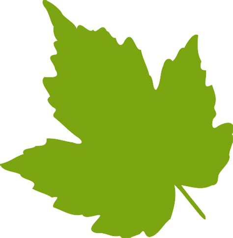 Green maple leaf vector image | Public domain vectors