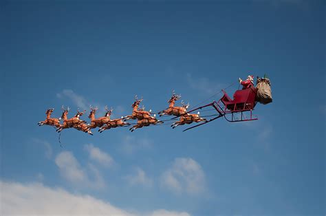 Why I Believe Santa's Reindeer Can Fly