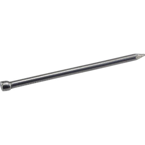 Hillman 6D 2 in. Finishing Polished Steel Nail Large Head - PaintPlace ...