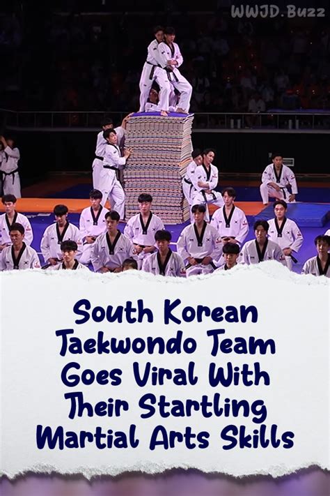 PIN-A 2204 South Korean Taekwondo Team Goes Viral With Their Startling ...