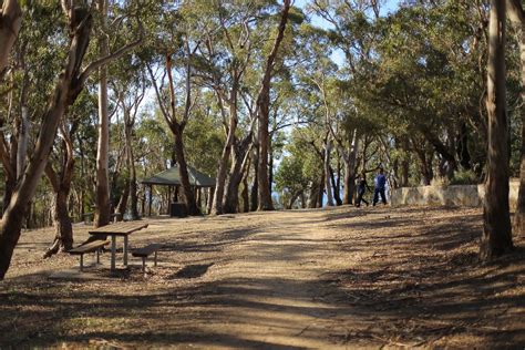 Picnic Tables - 'Arthurs Seat Summit', Arthurs Seat State Park, Arthurs Seat, Mornington ...