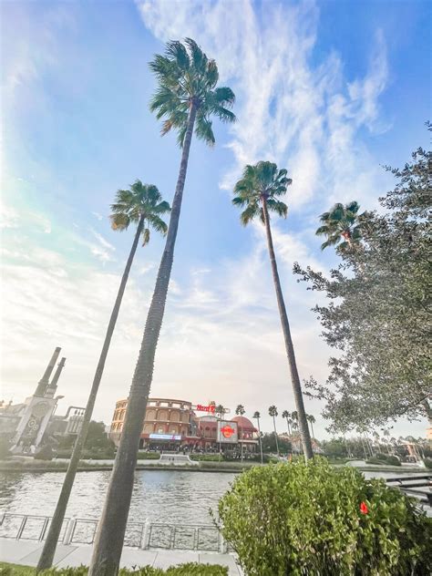 CityWalk Orlando Restaurants You Don't Want to Miss!