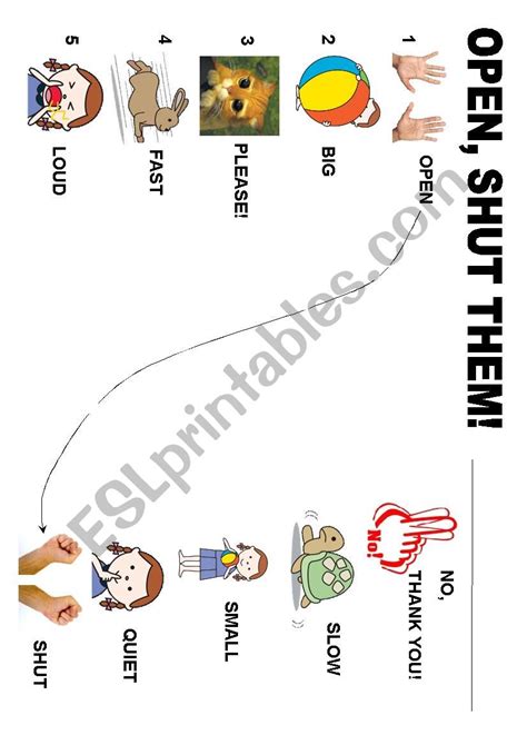 OPEN SHUT THEM - ESL worksheet by badeducation