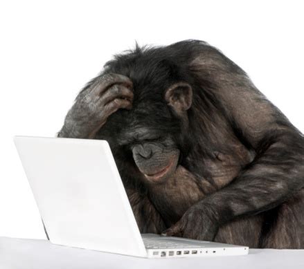Chimpanzee Playing With A Laptop Stock Photo - Download Image Now - Ape, Computer, Computer ...