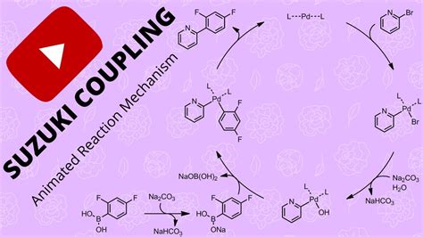 Suzuki Coupling Mechanism and Applications - YouTube