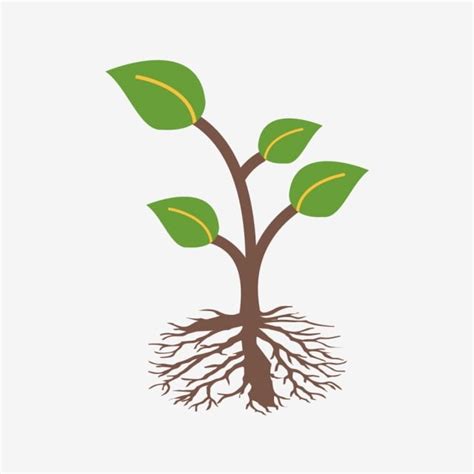 Roots Vector Art PNG, Vector Root Icon, Root Icons, Roots, Root PNG Image For Free Download