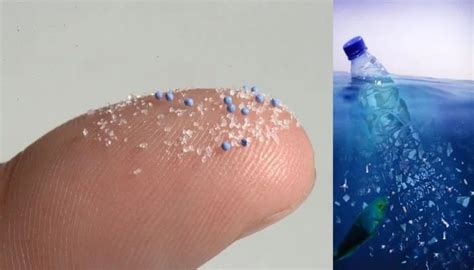 Your Bottled Water Contains Microplastics - Clean Future