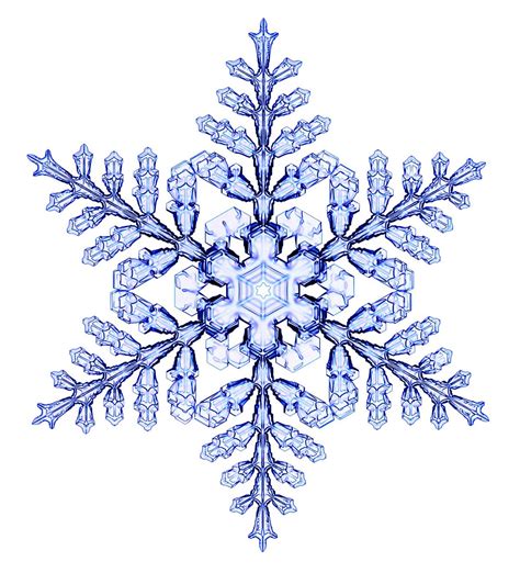 Snowflake | Snow flake tattoo, Snowflakes real, Snow crystal