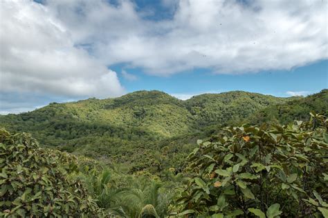 Vallee De Mai National Park, home to rare flora's in the world