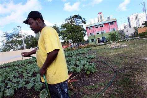 Guerrilla Gardening: Activists Are Changing Cities With This Practice