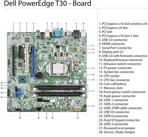 Best Dell PowerEdge T30 Tower Server Review: Features, Specs