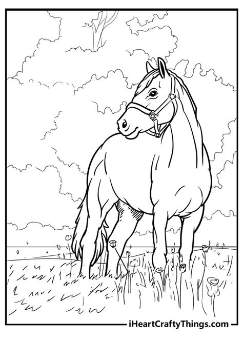 Horse Pictures Coloring Pages