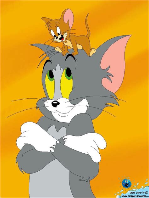 Tom and Jerry 3D Wallpapers - Top Free Tom and Jerry 3D Backgrounds ...