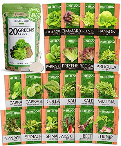 10,000+ Heirloom Lettuce Seeds for Planting Indoors - 95% Germination ...