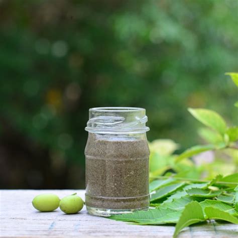 10 Top Neem Leaf Benefits & Uses For Skin, Hair & Health - Wildturmeric