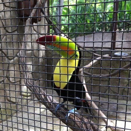 Costa Rica Wildlife Sanctuary (Puerto Limon) - 2018 All You Need to ...