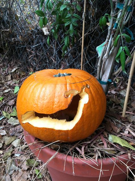 Slug Pumpkin-day | halloween, samhain, holiday, sabbat, deco… | Flickr
