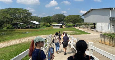 Review of The Acre by Farm Fresh @ UPM farm tour, food, animal displays