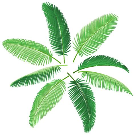 Set of green Palm leaves vector 05 free download