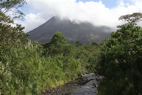 Beyond Adventure: Exploring the Cloud Forest of Costa Rica.