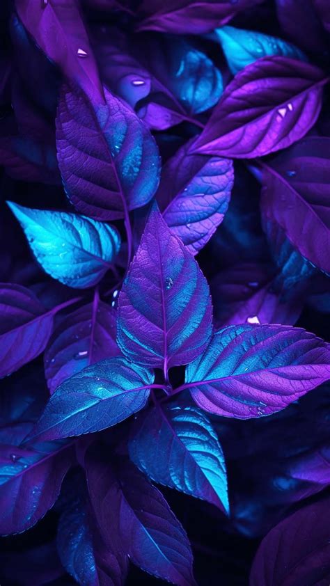 UV Light Plants iPhone Wallpaper 4K - iPhone Wallpapers