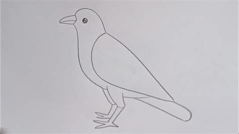 Crow Drawing For Kids