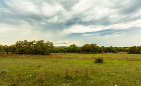 The Demand for Land in Texas | Habitat Hunters