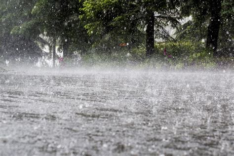 7 dead due to heavy rains in Karachi; PMD predicts more showers for next 2 days - The Statesman