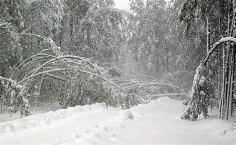 SIGNS OF A TORNADO - 10 Ways To Know If A Tornado Is Coming