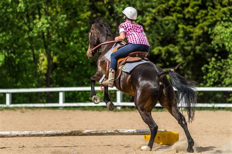 Horse Riding – Hartley Valley Farm