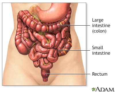 Gas - flatulence Information | Mount Sinai - New York