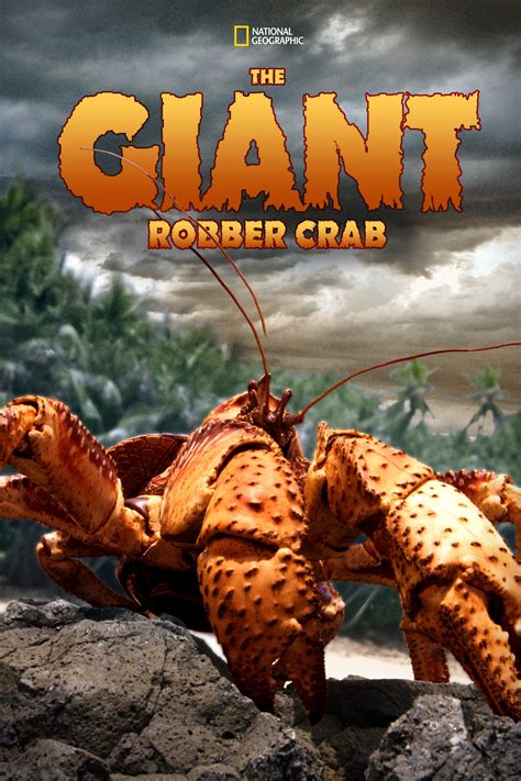 The Giant Robber Crab (2019)