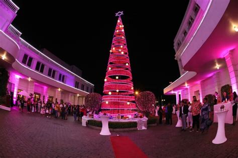 Mount Lavinia Hotel Hosted The Grand Christmas Tree Lighting Ceremony ...