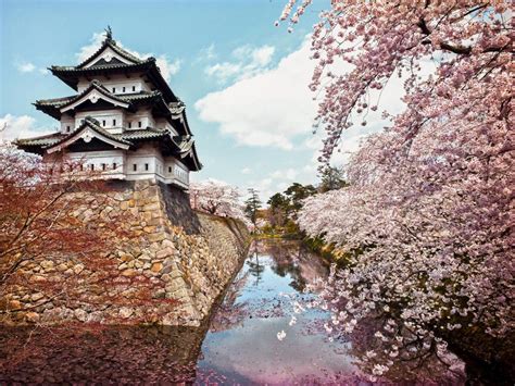 Top places in Japan to see cherry blossoms | Booking.com