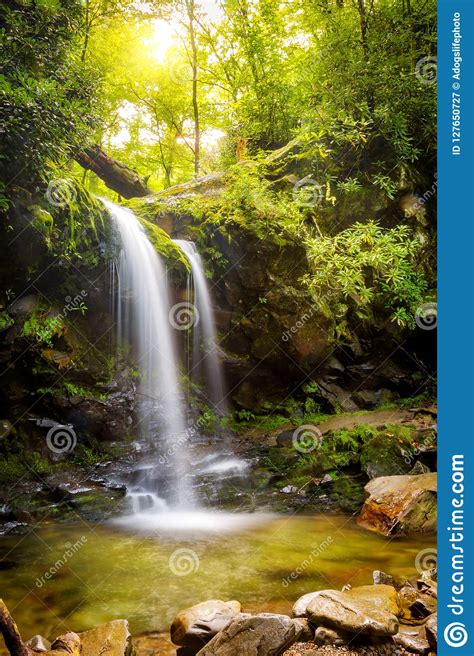 Grotto Falls - Smoky Mountains Stock Photo | CartoonDealer.com #27650730