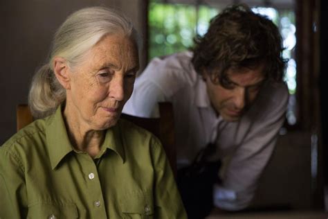 New Jane Goodall Documentary Is Most Intimate Portrait Yet, Says Jane Goodall | Smithsonian